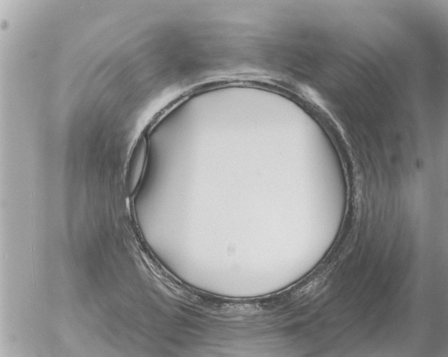 X0000054441320200508270003