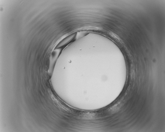 X0000054441321200508270003