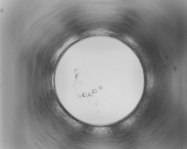 X0000054441322200508270003