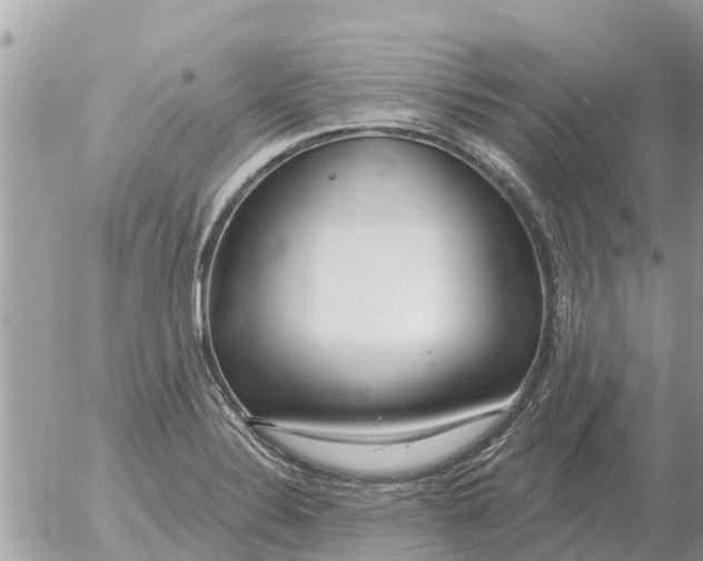 X0000054441324200508270003