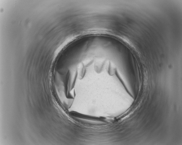 X0000054441325200508270003