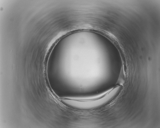 X0000054441326200508270003