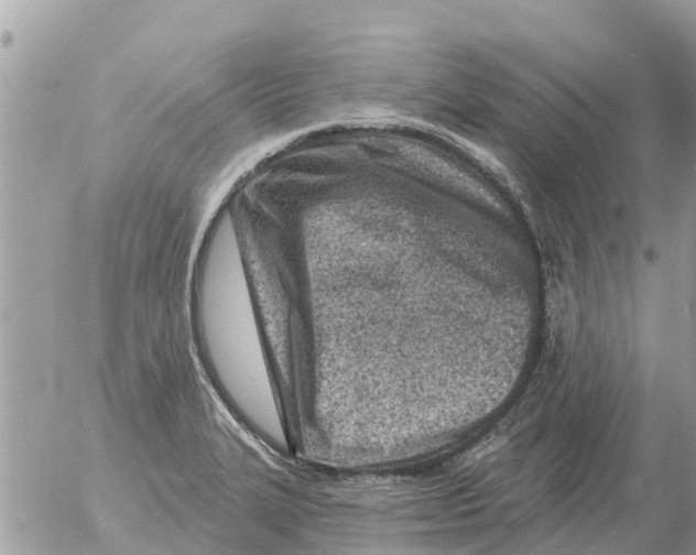 X0000054441327200508270003