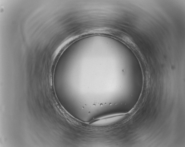 X0000054441328200508270003