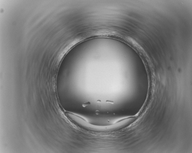 X0000054441329200508270003