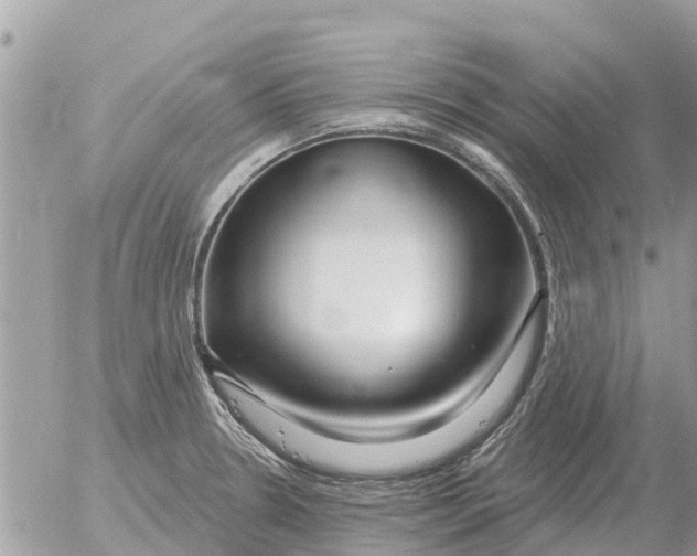 X0000054441330200508270003