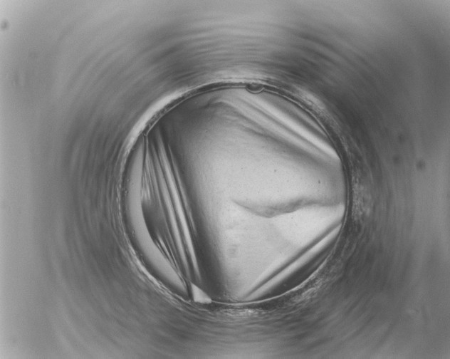 X0000054441331200508270003