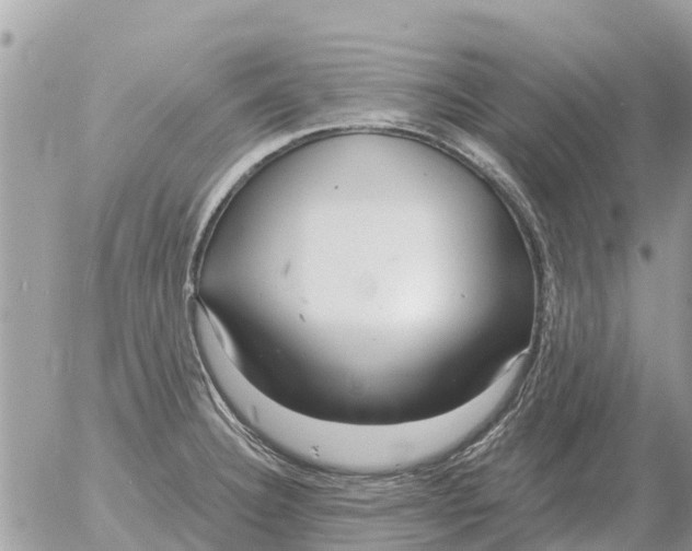 X0000054441332200508270003