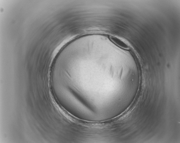 X0000054441333200508270003