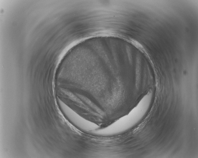 X0000054441334200508270003