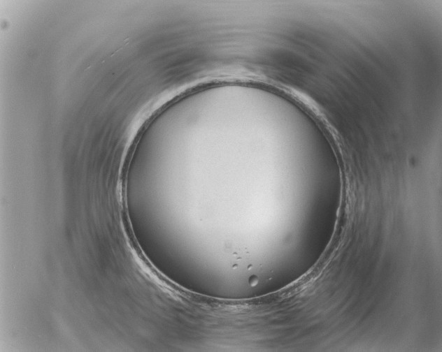 X0000054441335200508270003