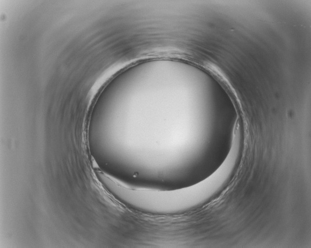 X0000054441336200508270003