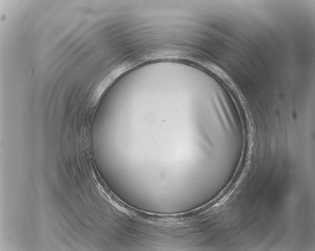 X0000054441337200508270003