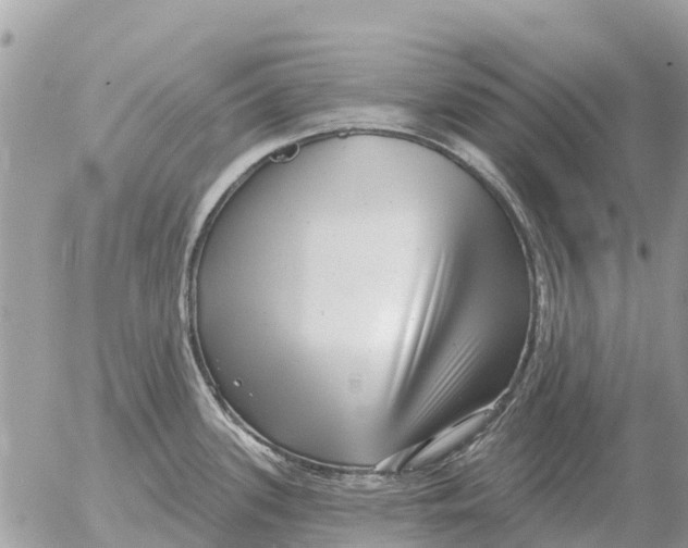 X0000054441339200508270003