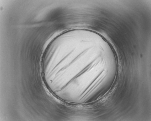 X0000054441341200508270003