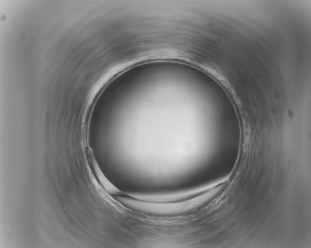 X0000054441342200508270003