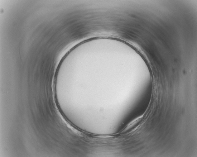 X0000054441343200508270003