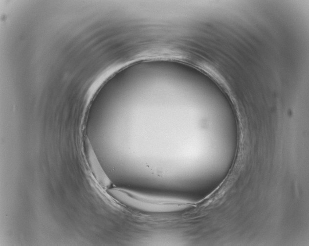 X0000054441344200508270003