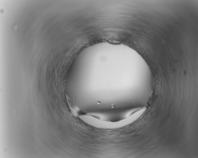 X0000054441345200508270002