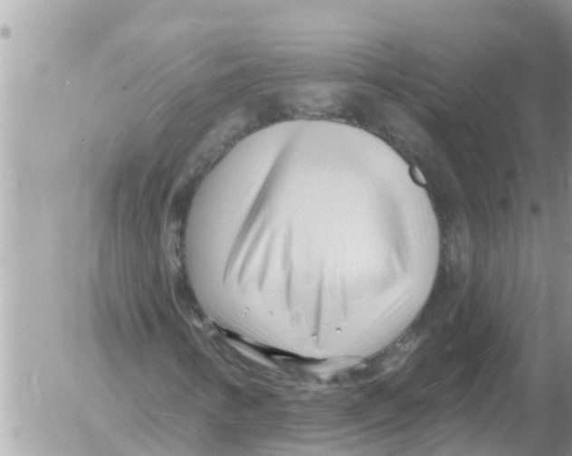 X0000054441346200508270002