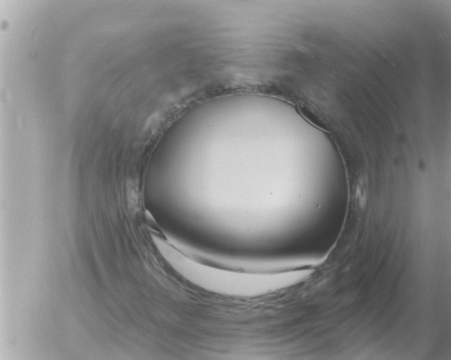 X0000054441348200508270002