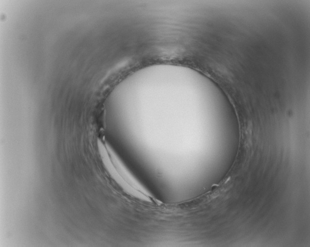 X0000054441349200508270002