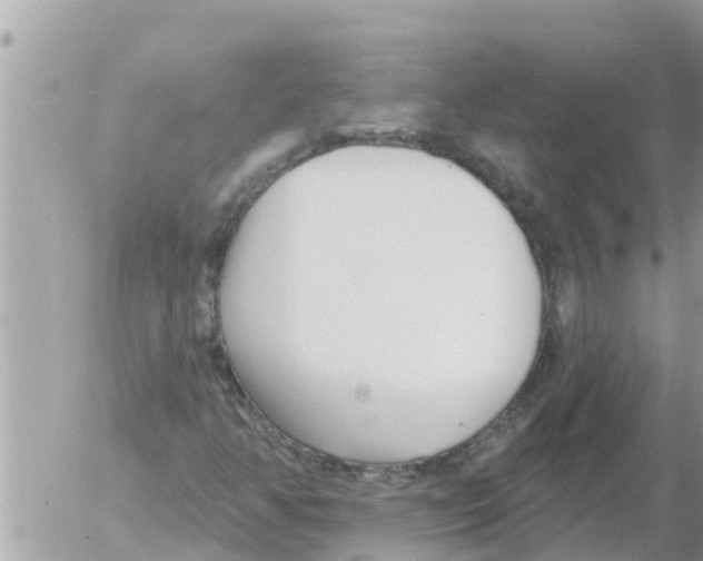 X0000054441350200508270002