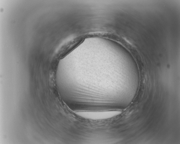 X0000054441351200508270002