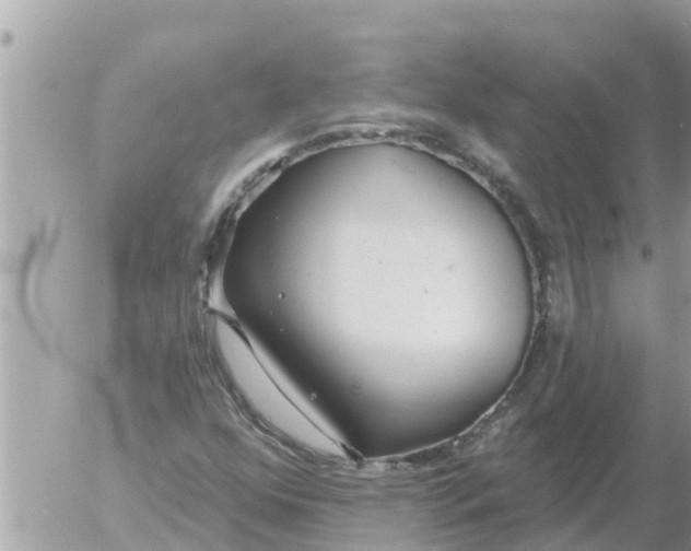 X0000054441352200508270002