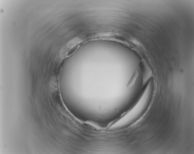 X0000054441353200508270002