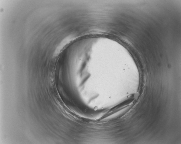 X0000054441355200508270002