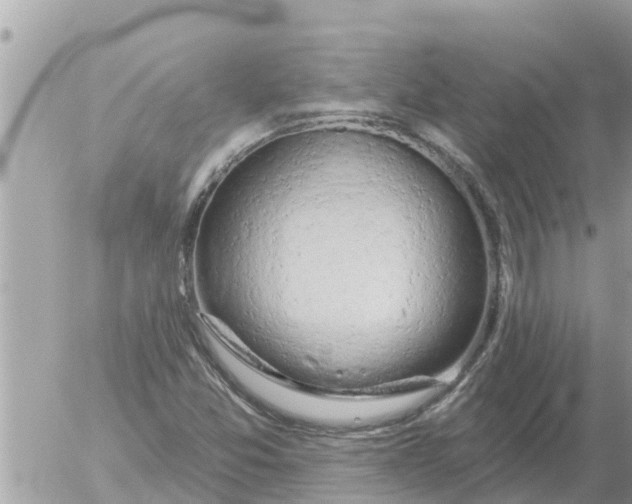 X0000054441357200508270002