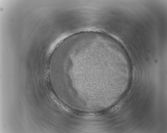 X0000054441359200508270002