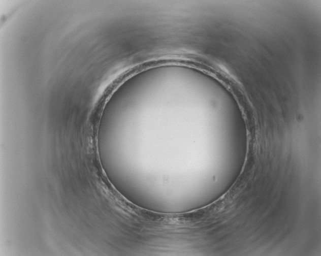 X0000054441360200508270002