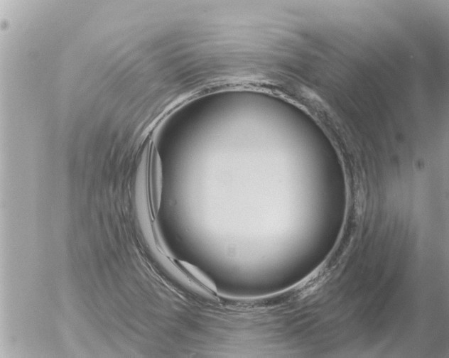 X0000054441361200508270002