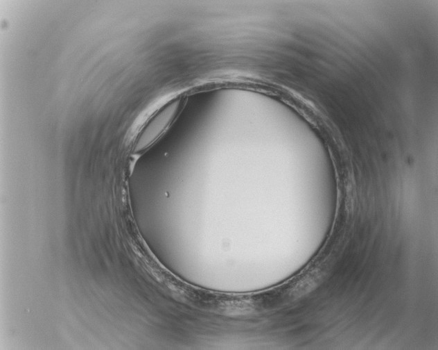 X0000054441363200508270002