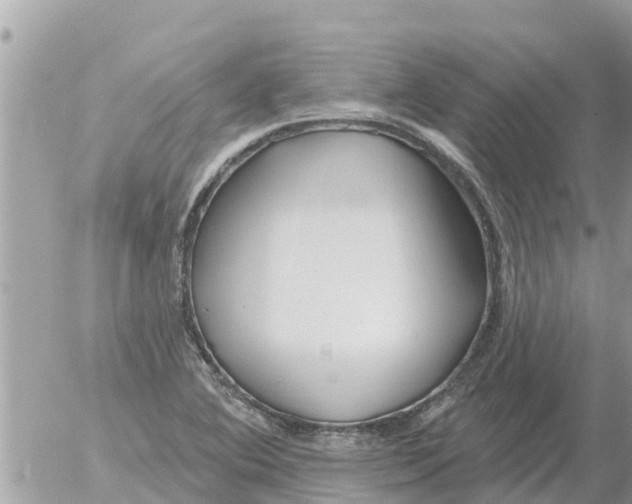 X0000054441364200508270002