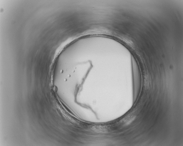 X0000054441366200508270002