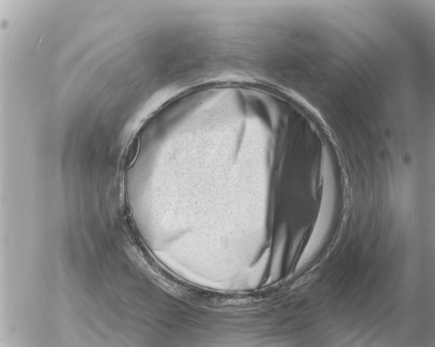 X0000054441367200508270002