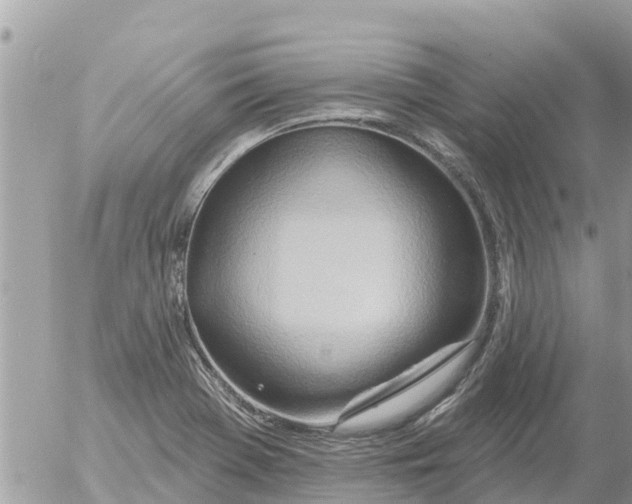 X0000054441369200508270002