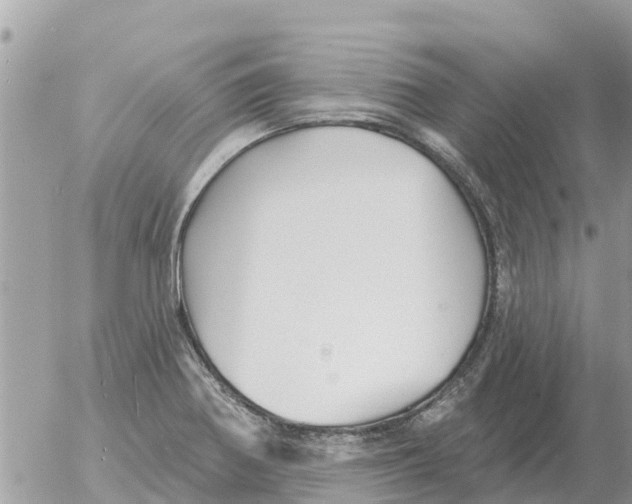 X0000054441370200508270002