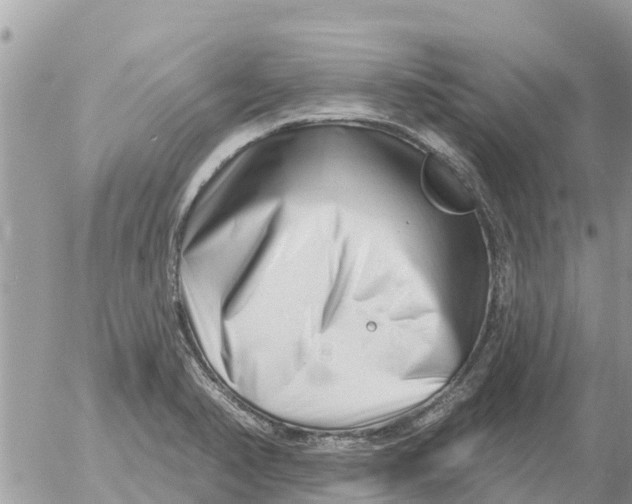 X0000054441374200508270002