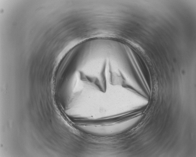 X0000054441375200508270002