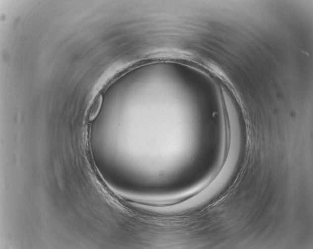 X0000054441376200508270002