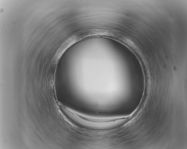 X0000054441377200508270002