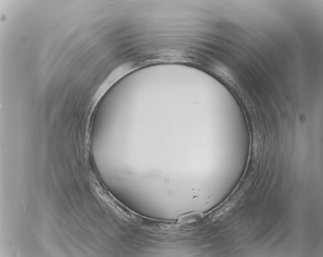 X0000054441378200508270002