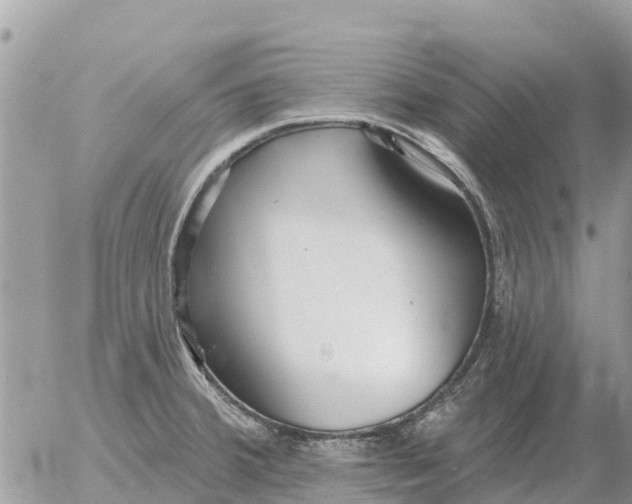 X0000054441380200508270002