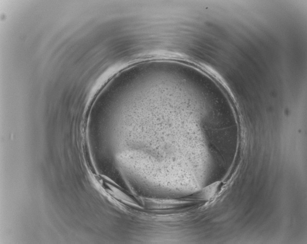 X0000054441381200508270002