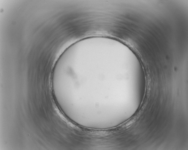 X0000054441382200508270002