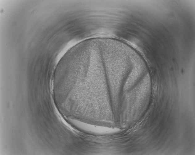 X0000054441383200508270002